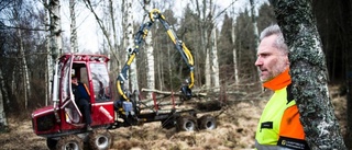 Strandstuviken står inför ansiktslyftning