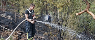 Skogsbrand farligt nära sommarstugor