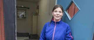 Hunddagis i vacker Österåkersmiljö