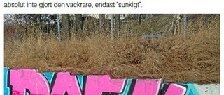 Graffitimuren som delar Härad