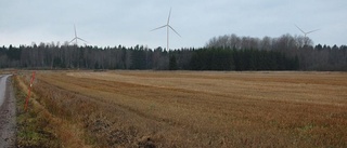 Vindkraftplaner i Öja tar form