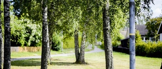 Försvunnet konstverk har hittat hem