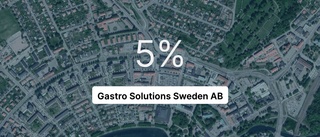 Kraftig ökning av intäkterna för Motalaföretaget 