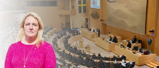 "Riksdagen har äntligen röstat för högre pensioner"