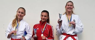 Medaljtätt för Goju-kai i helgen