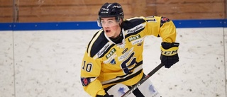 Nyköping förbereder sig för hockeyfest