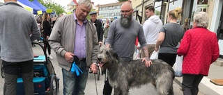 Tjockt med folk på Gnestadagen