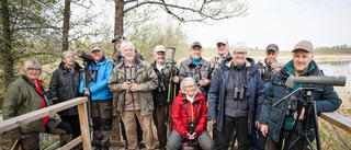 De är laddade inför fågelkampen