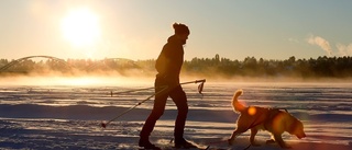 Beskedet Luleåborna väntat på  