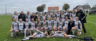 Inget SM-guld för ERK - förlorade finalen mot Skåne - "Kan ändå vara stolta"