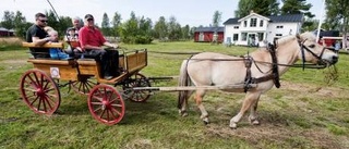 Hägnan bjöd på sommarmarknad