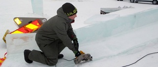 Snöborgen ska lysa upp Hamnplan