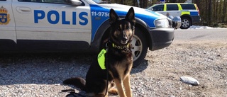 Erbjuds extra skydd – av polishundar