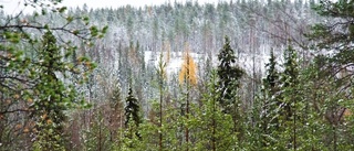 Miljömålen inte ens nära att uppnås