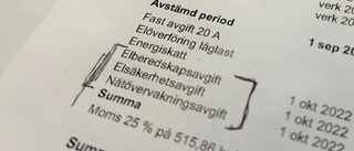 Läsare: Vad är det för nya avgifter på elräkningen? • Vi reder ut