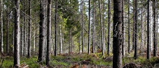 Fler naturreservat i länet