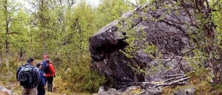 Pieljekaise nationalpark med gluttsnäppor och kabbelekor