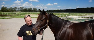 Salmela redo för Elitloppet