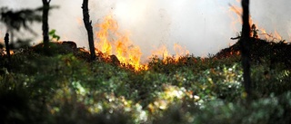 Stor brandrisk efter torka