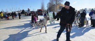 Rensläde populär på lyckad vintermarknad