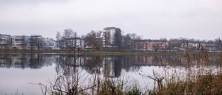 Förslaget: En småbåtshamn i centrum