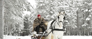 Namnsdagsbarnet firar jul med hästkrafter