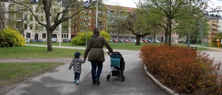 Mika tar hand om stadens skräp