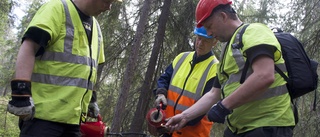 Bränner ner för att bygga upp naturens värden 