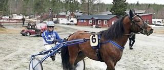 Lindqvist har ett treåringslöfte