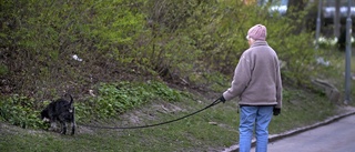 Så trött på alla hundägare    