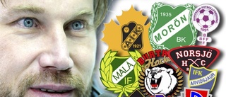 Mest pengar till Skellefteå AIK Hockey