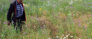 Dags för blomsterspaning i parken