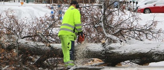 UNT direktrapporterade: Fortfarande starka vindar vid kusten