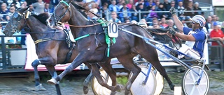 Skelleftehästar i långa loppet