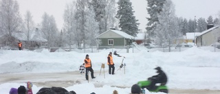 Hundratals på årets gräsklippartävling