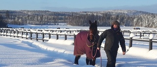 Bodenprofilens härliga dag – tränar hästarna i minus 29: "Ut och njut"