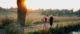 Varmare väder än vanligt