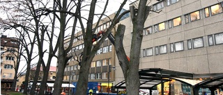 Kvinna utsatt för stöld i park