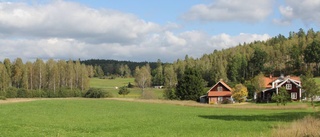 Söker svar på många SD-röster i Hannäs