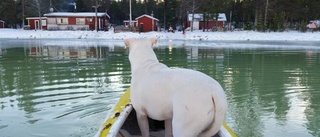 Blidvädret är ju kanooo...t!