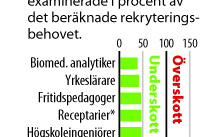 Framtidsjobbet som får nobben