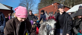 Torgnys stora 30-årsfest