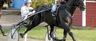 Amatörerna körde som proffs på Bodentravet