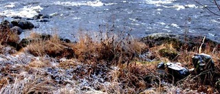 Strandbården viktig