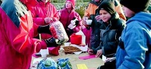 Julmarknaden har växt i Borggård