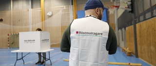 Valförrättare ska inte utses av partierna