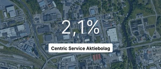 Omsättningen tar fart för Centric Service Aktiebolag - men resultatet sjunker