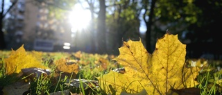 Höst – men bara i delar av Sörmland ✓Här kan du fortfarande njuta av "sommarvärmen" ✓"Ganska normalt"