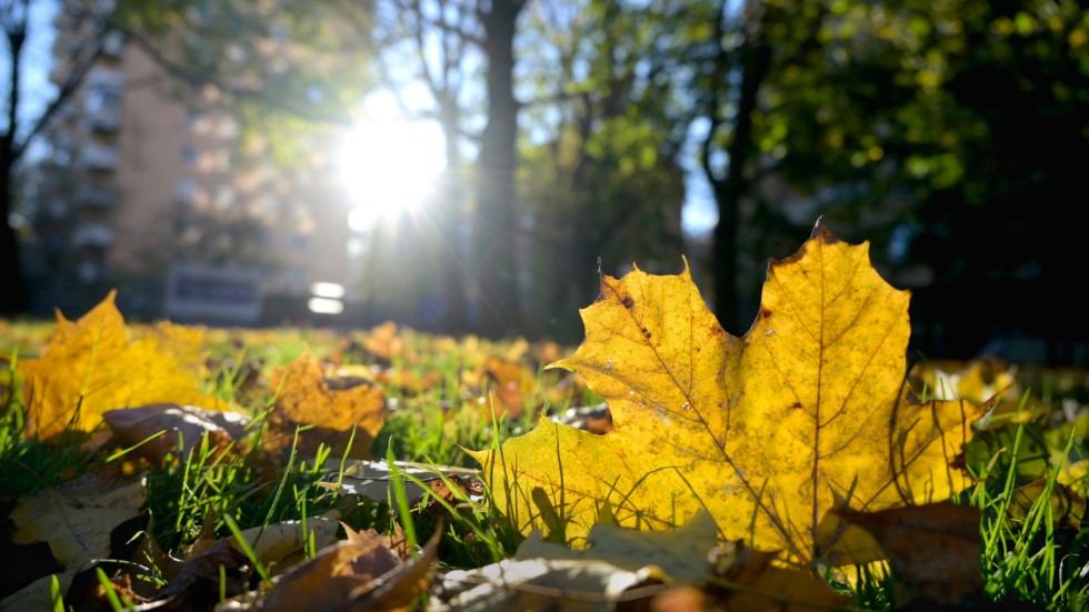 Det är ovanligt varmt för årstiden och SMHI utlovar en hel del sol under veckan. 