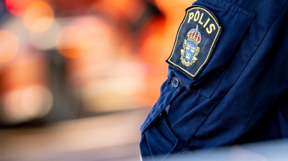 Allmänheten stoppade den vingliga bilfärden och tillkallade polis.